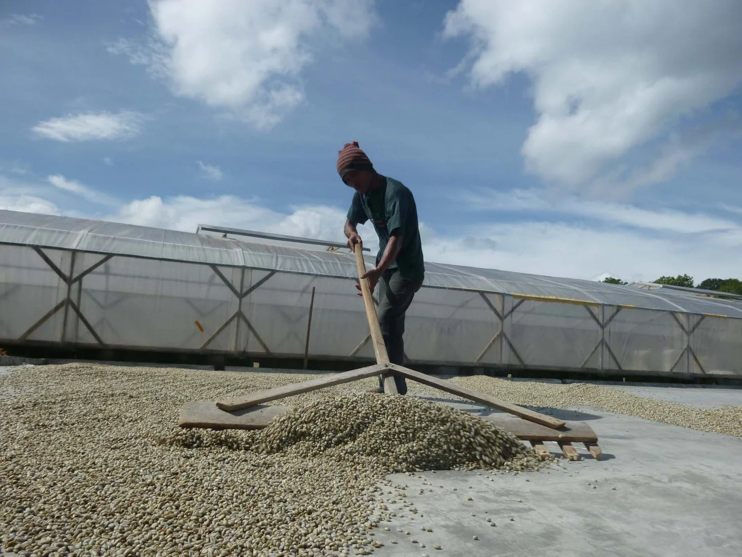 Sumatra